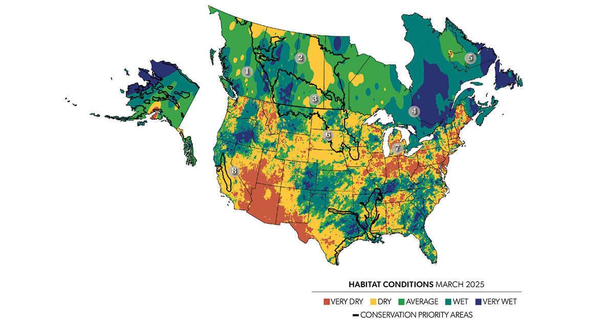 Field Reports: Spring Habitat Outlook